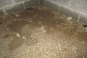 mold-moisture-investigations-basement